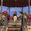 Roxane_ds
